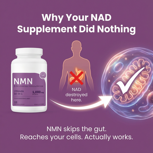 Serouna® NMN+ Cellular Revival Capsules